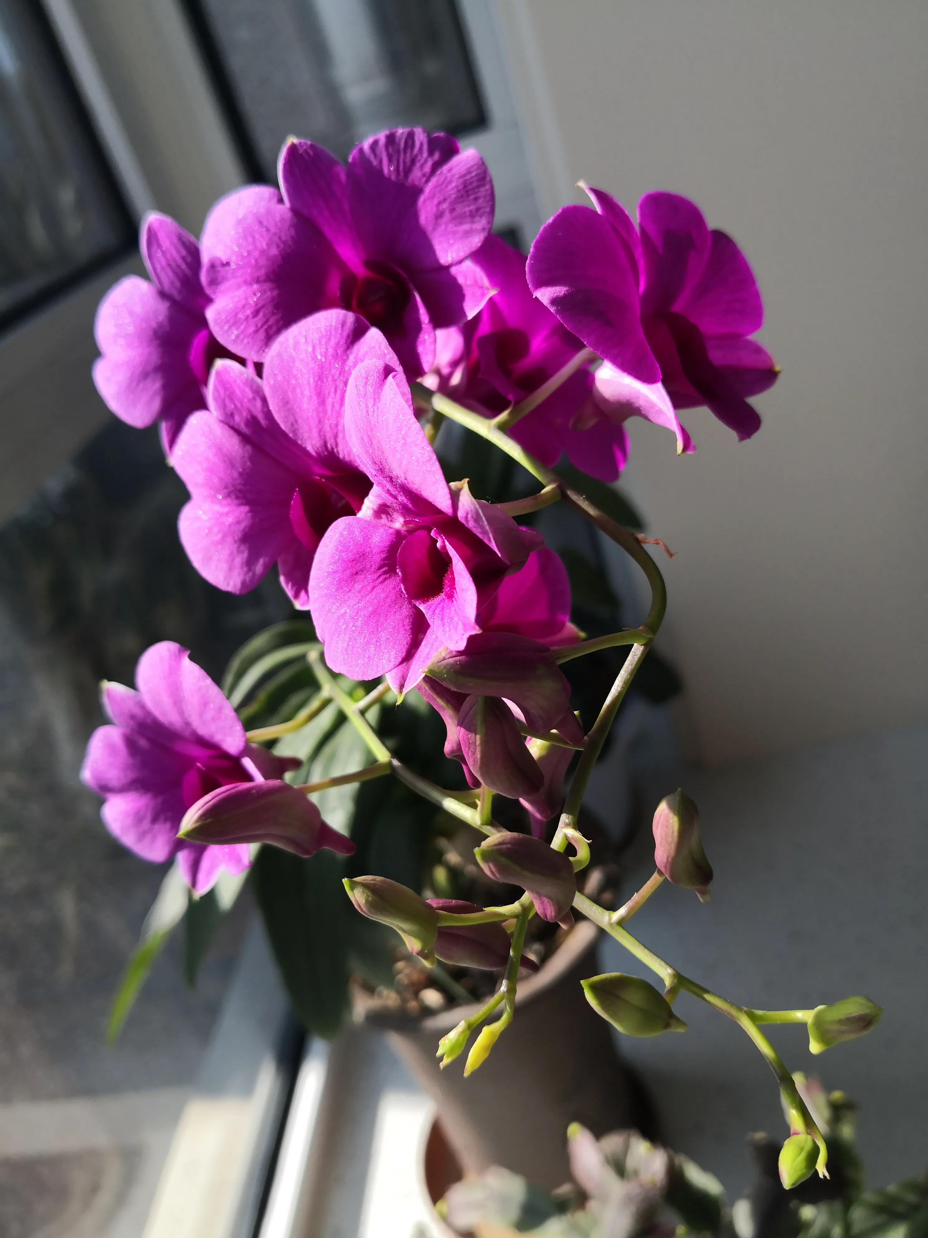 中国足球局势,中国足球内部爆料