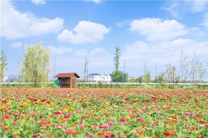 10条南京最美步道,南京步道