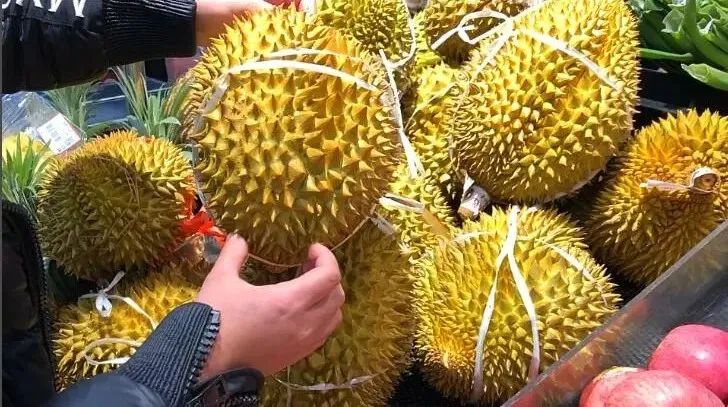 买榴莲就要挑母的学会这四招,买榴莲怎么挑熟一点