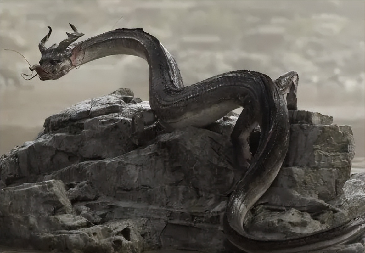 蛟龙真的存在吗,真的有蛟龙这种生物吗