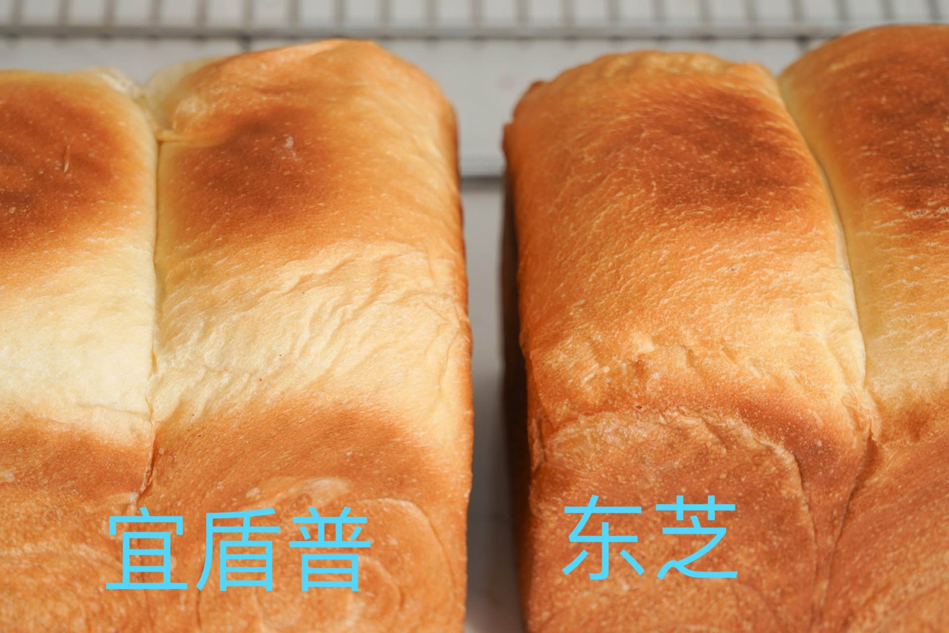 东芝烤箱水波炉怎么样,东芝水波炉和蒸烤箱哪个更好