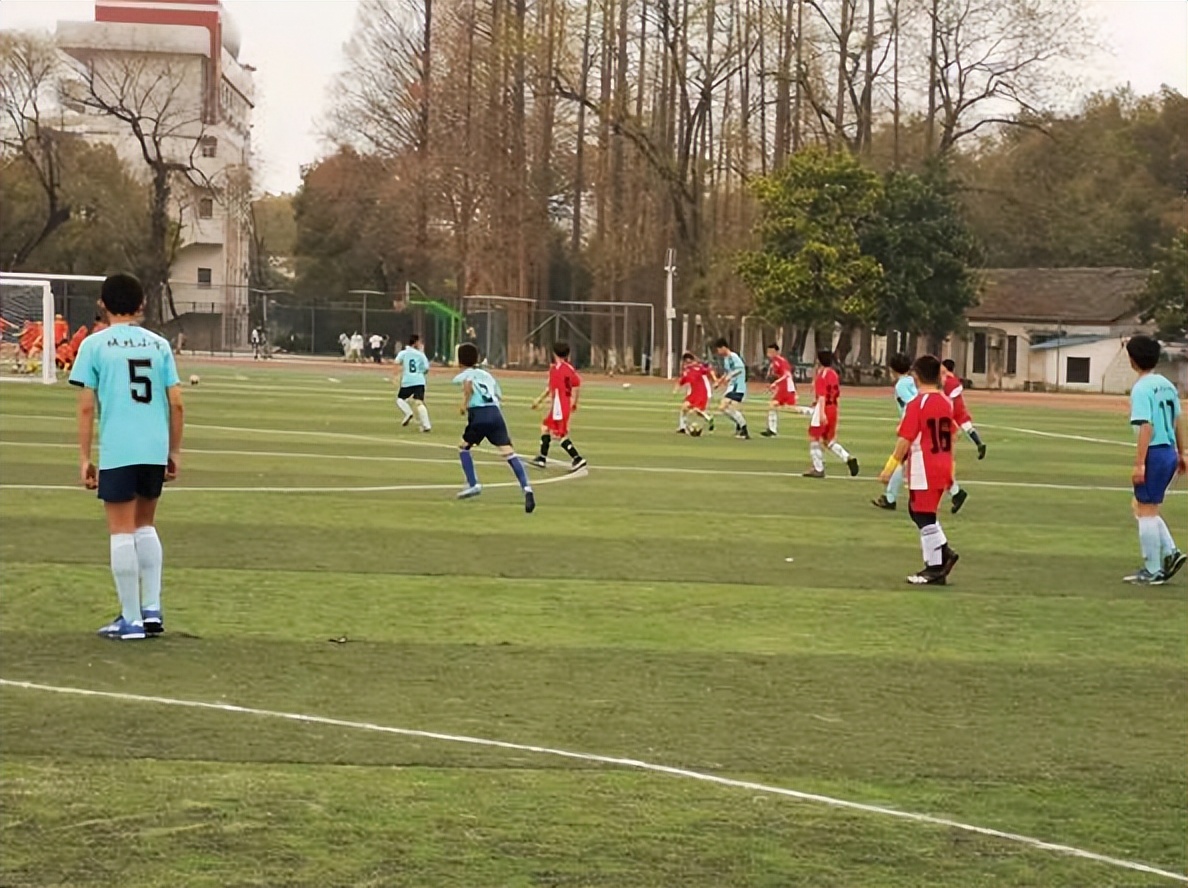 双减政策落地五育并举育人,安徽合肥双减政策具体实施细则