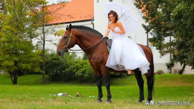 蒙古女儿出嫁陪嫁五十匹马,蒙古族陪嫁礼单