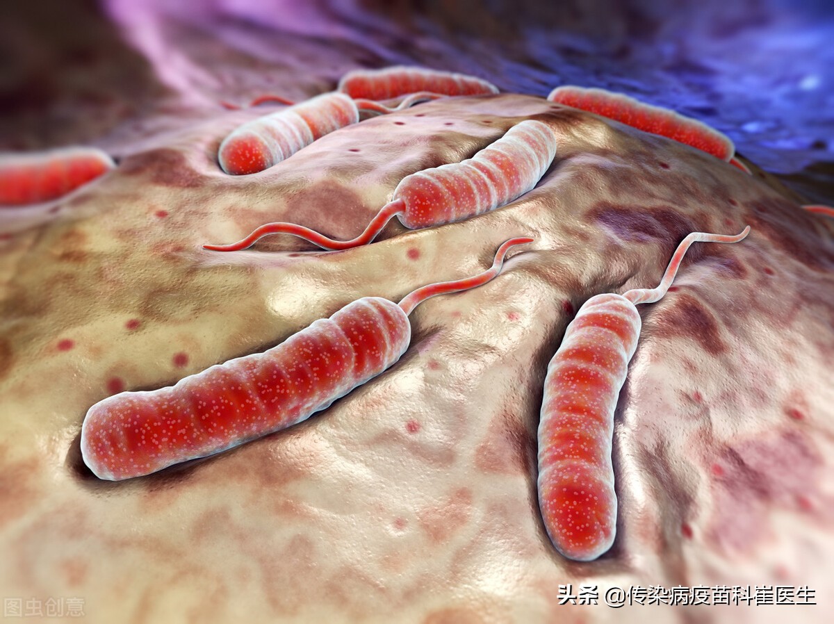 霍乱疫苗都预防什么病,霍乱提前预防用什么药