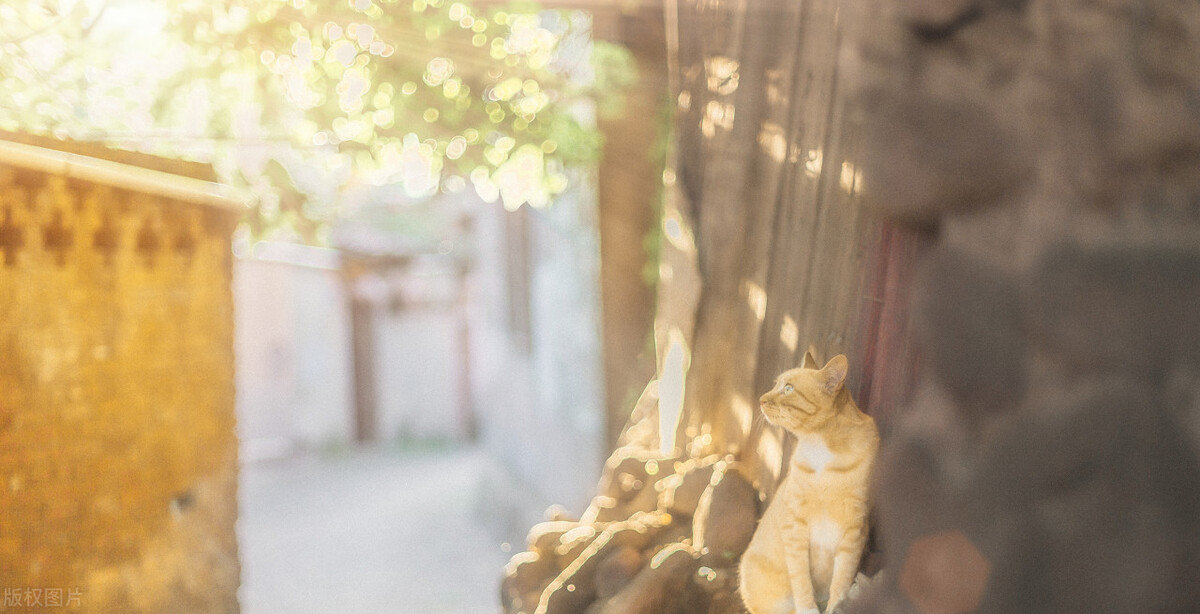 天天开心的抖音视频,天天开心之类的祝福语