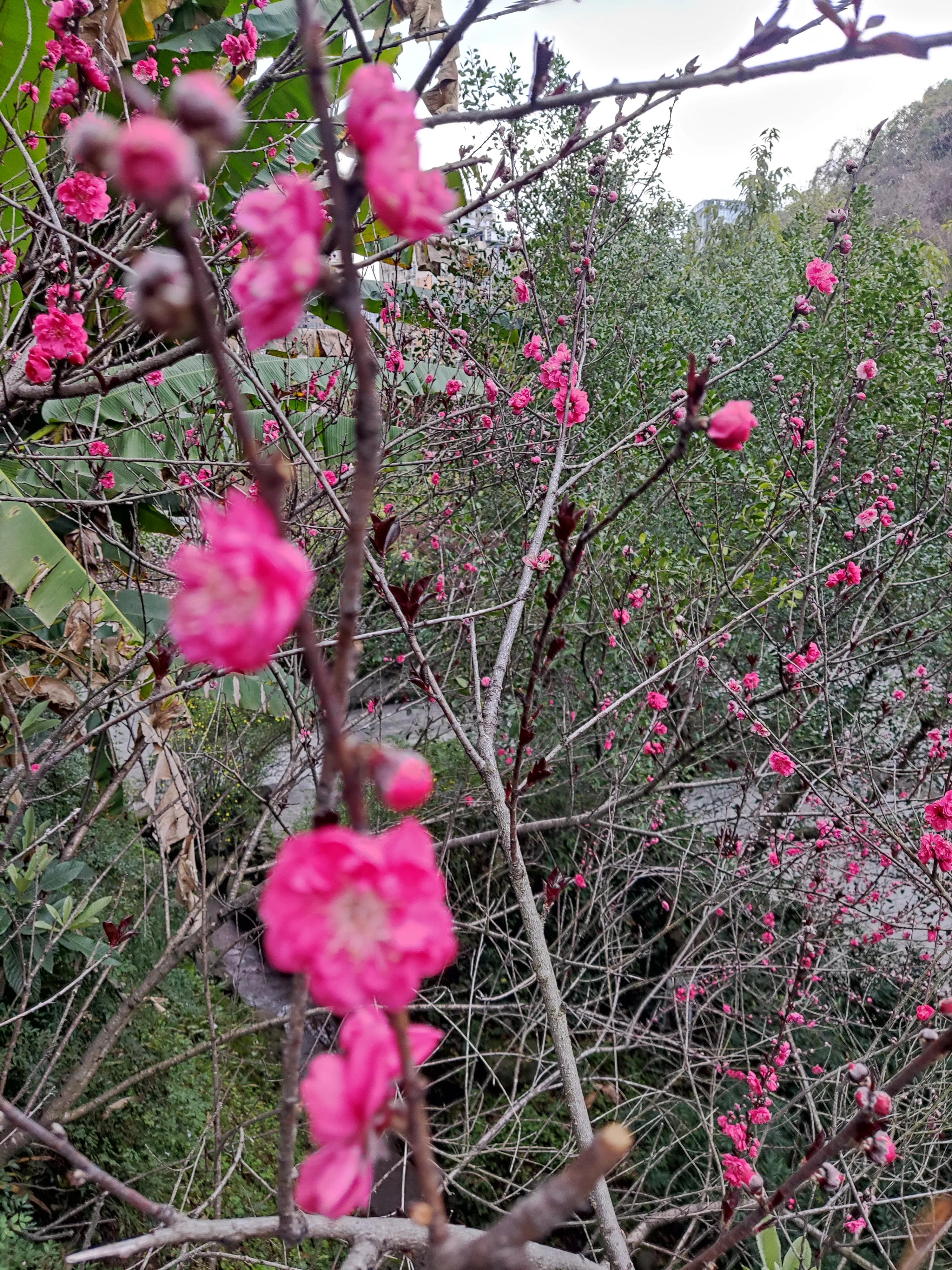 呼吸不通畅感觉气上不来咋回事,呼吸