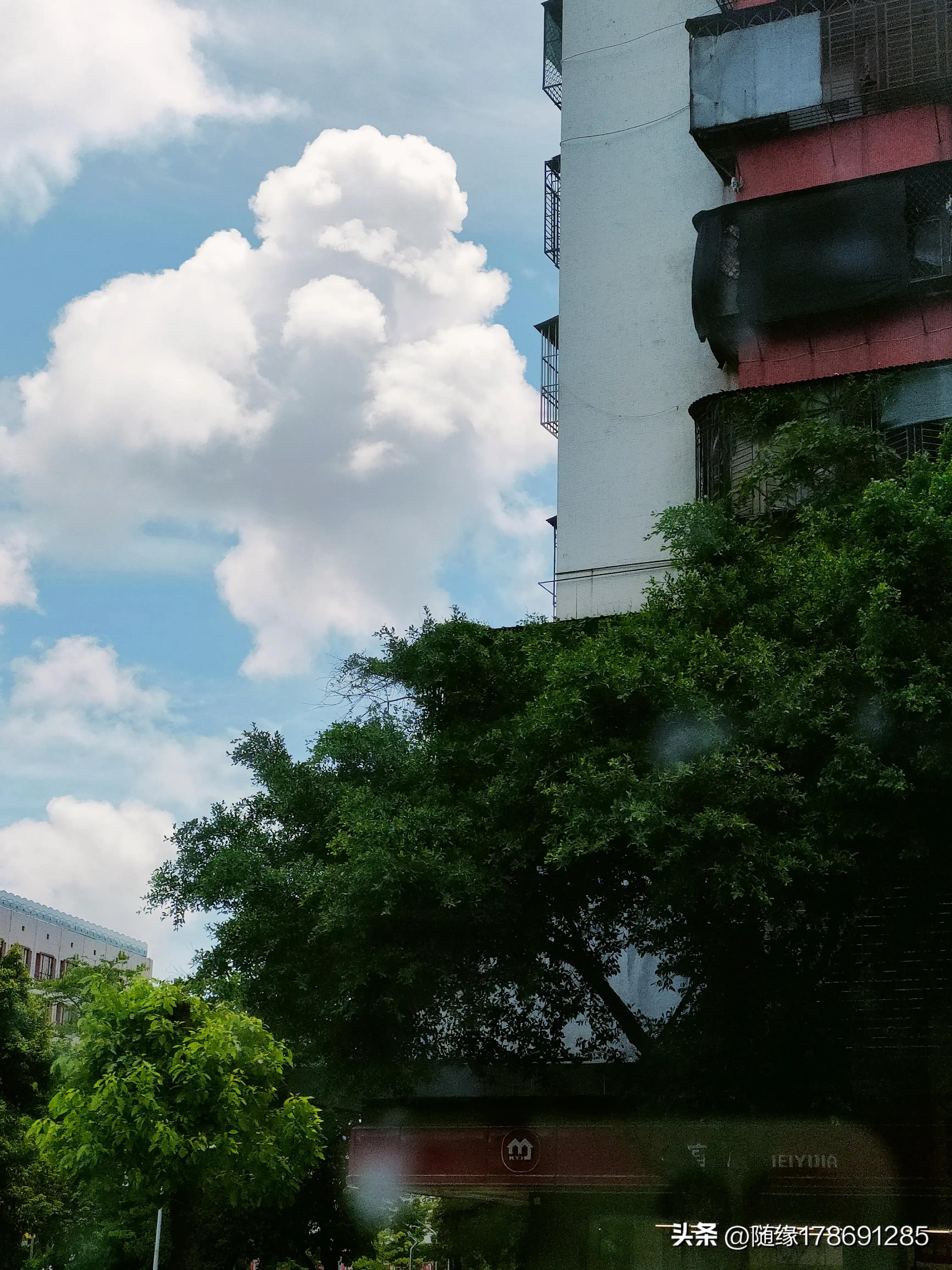 云游潮汕,汕头金砂中路公园