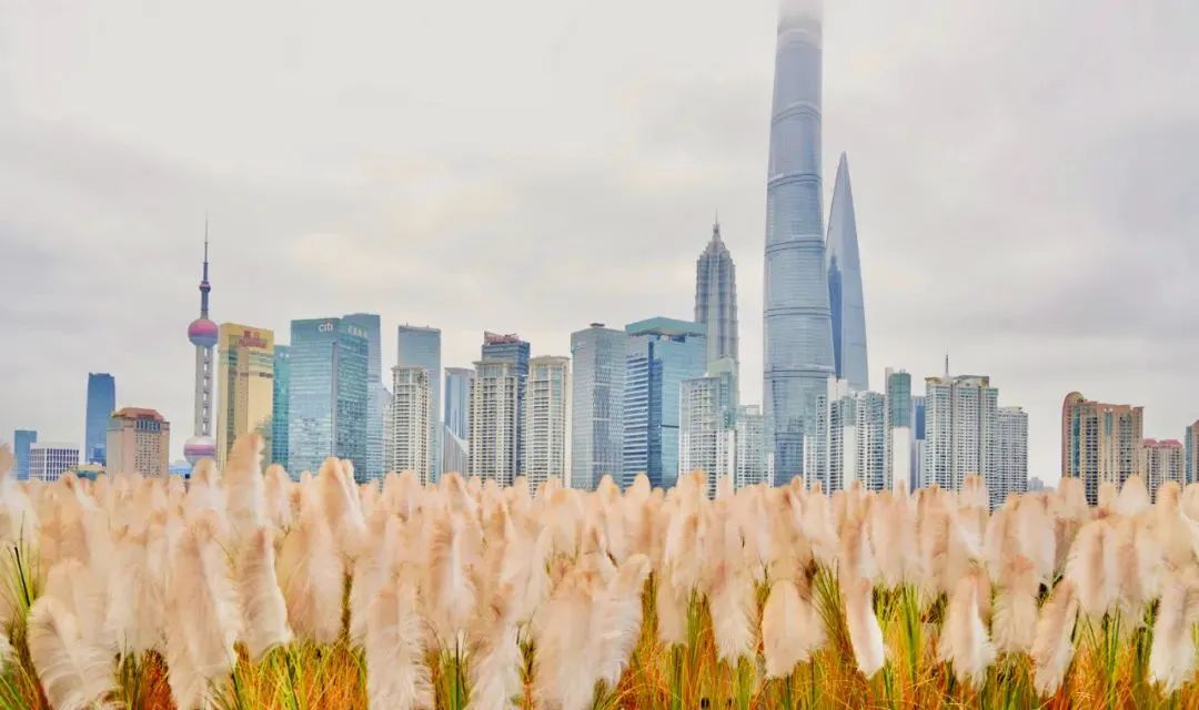 上海各区商业排行,上海各区商业客流