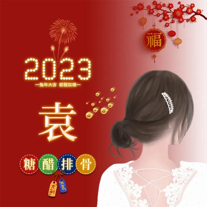 姓氏头像张女生专用喜庆点的,新年喜庆傅姓氏头像图片大全