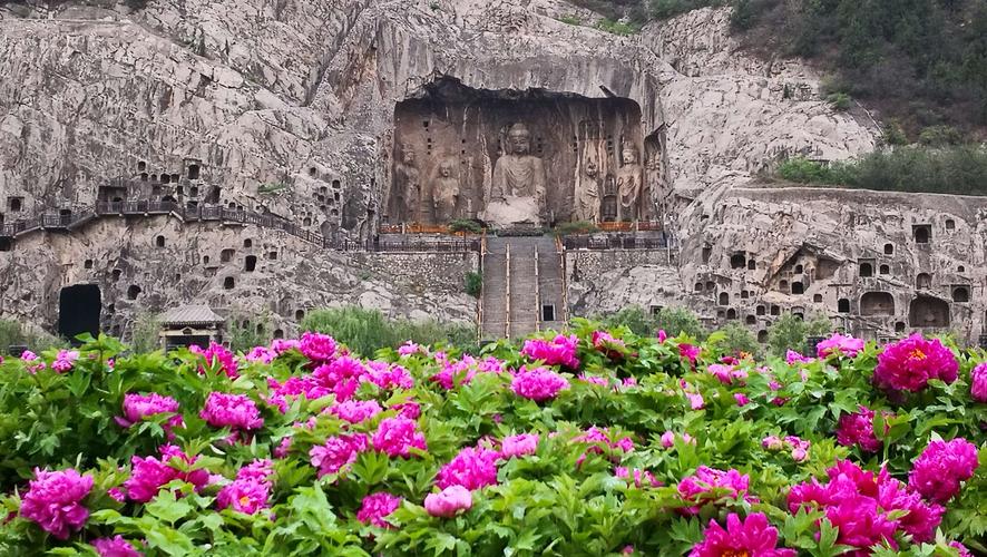 菜农事件是偶然事件，洛阳现在的创业环境已经非常好了