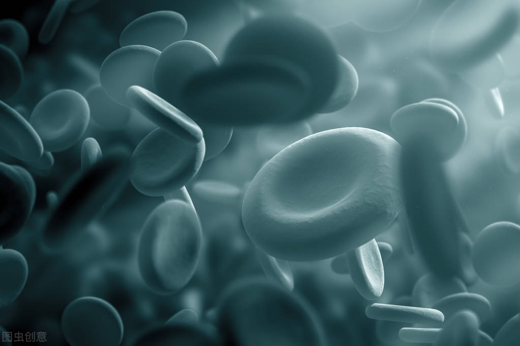 一文教会你看懂血检报告