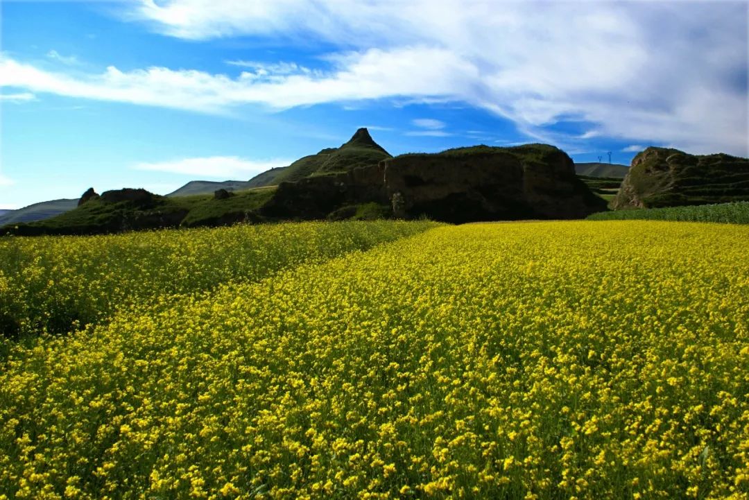 甘南什么意思,甘南县为什么叫甘南县