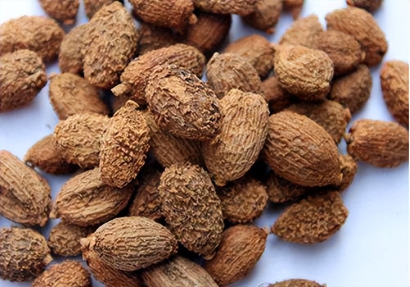 道地药材十大产区,全国道地中药材四大产区之一