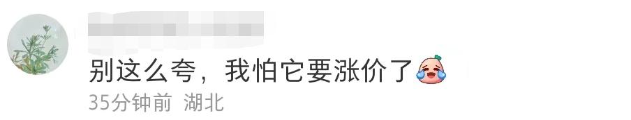 六神走出国外了吗,六神最高价