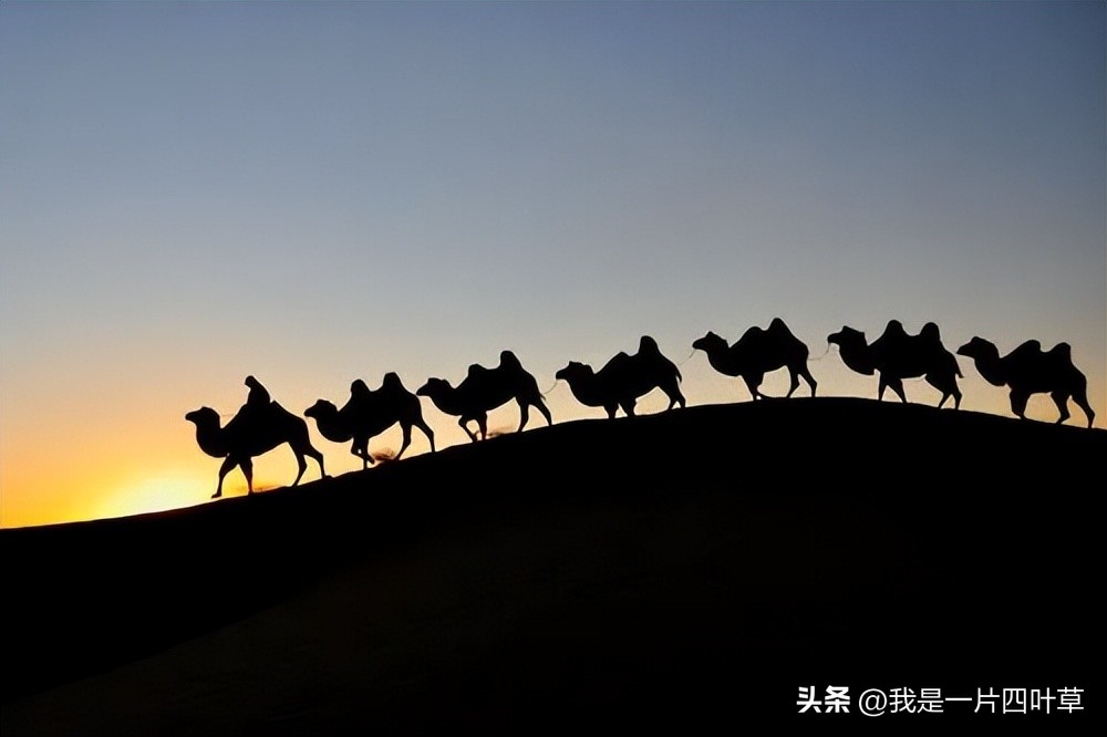 今日八一建军节,今天八一有什么新闻