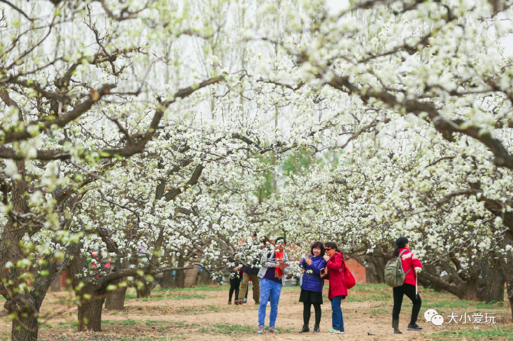 适合三天两夜的自驾亲子旅游胜地 (6条不同的游览路线供游客自由选)