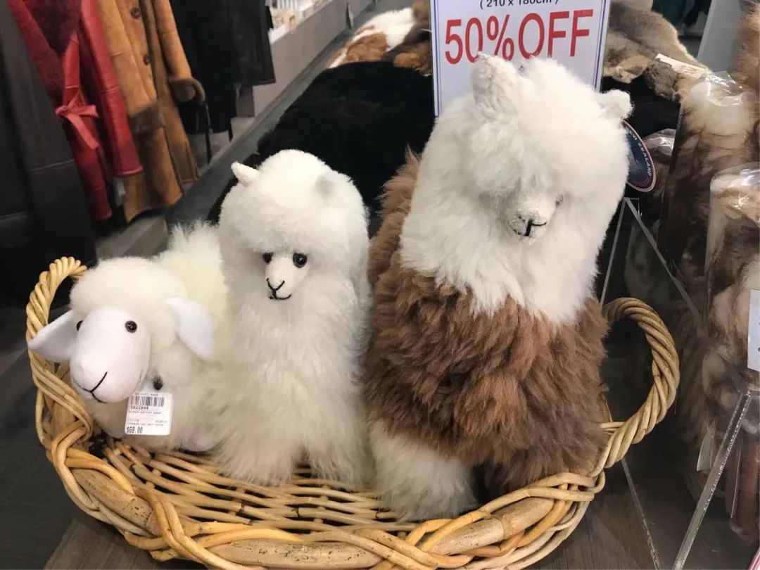 写给不被疫情束缚的心:用文字“云”游新西兰全境