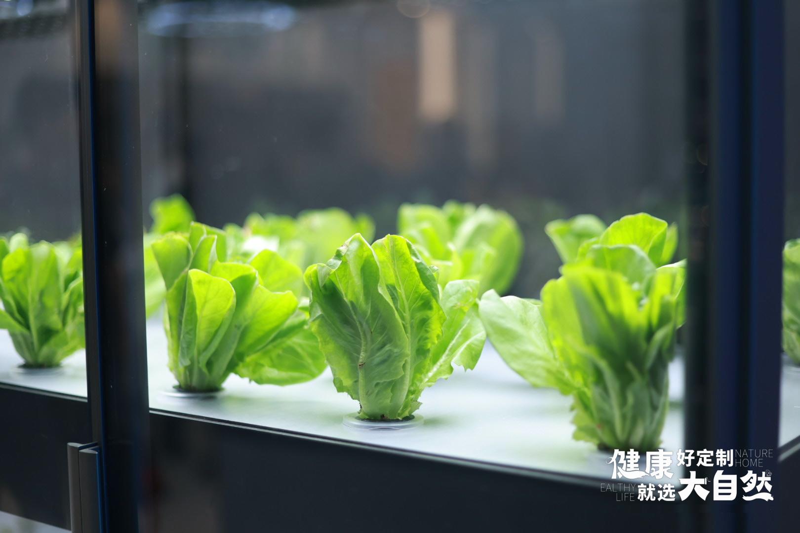 浪眼探好物丨大自然玛尔斯系列，重塑高端厨居新体验！