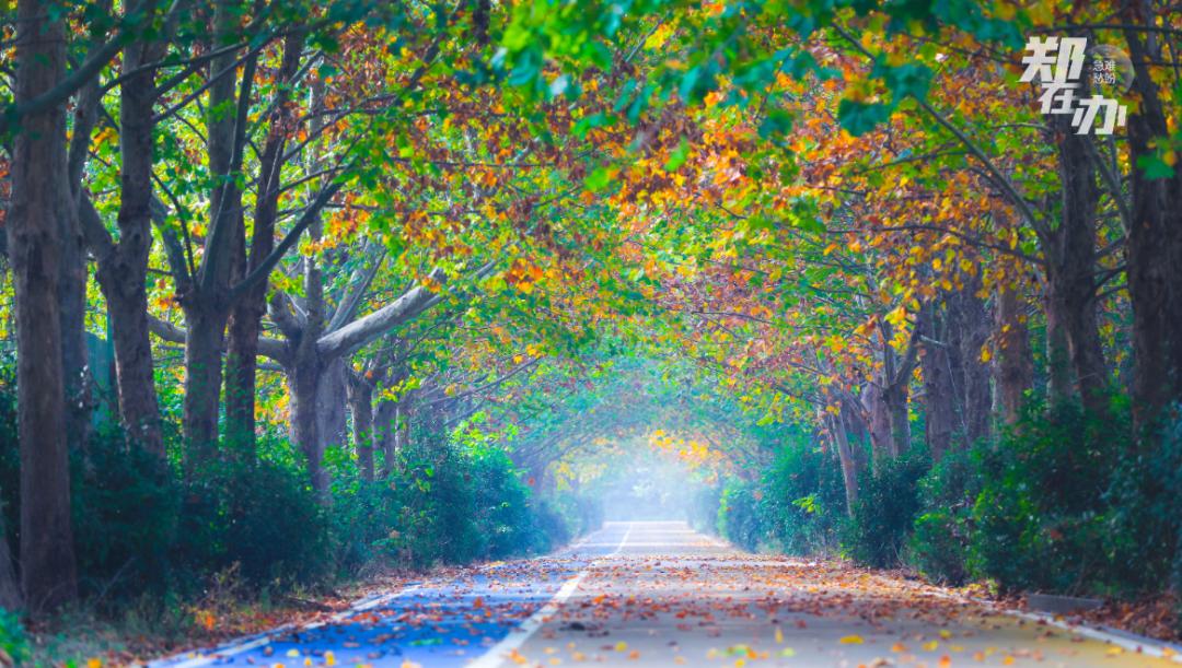 郑州哪个地方最适合春游,3月春游好去处郑州