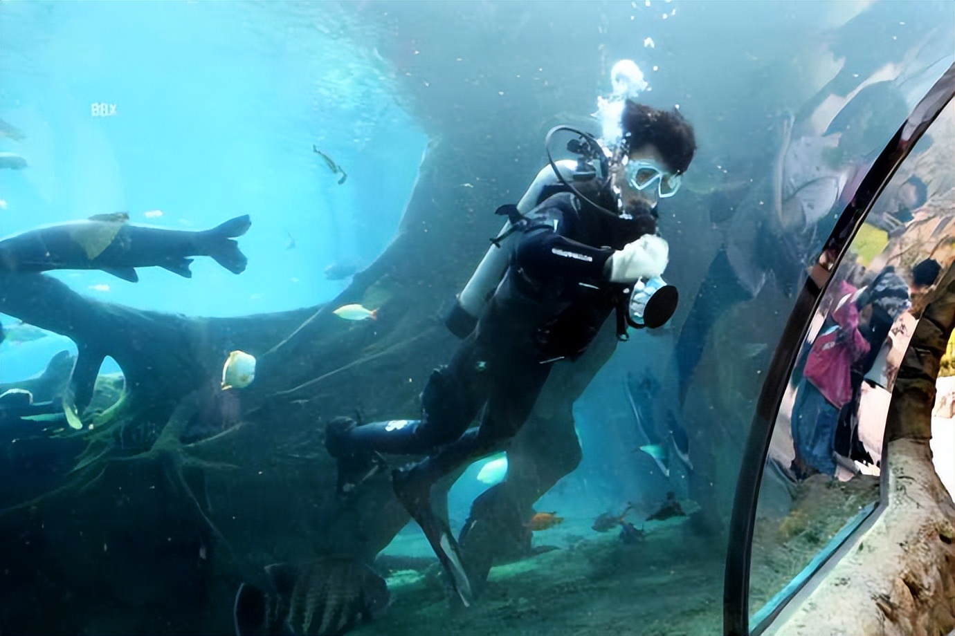 珠海长隆海洋王国水下走廊,世界级海洋乐园珠海长隆海洋王国