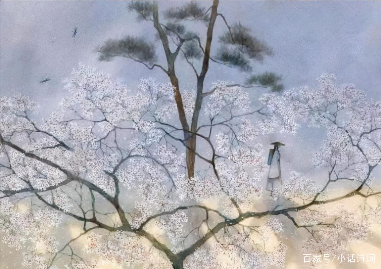 公司岗位价值评估工作讲话,美世岗位价值评估2.0案例运用视频