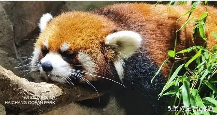 杭州六一遛娃好去处,北京六一遛娃好去处