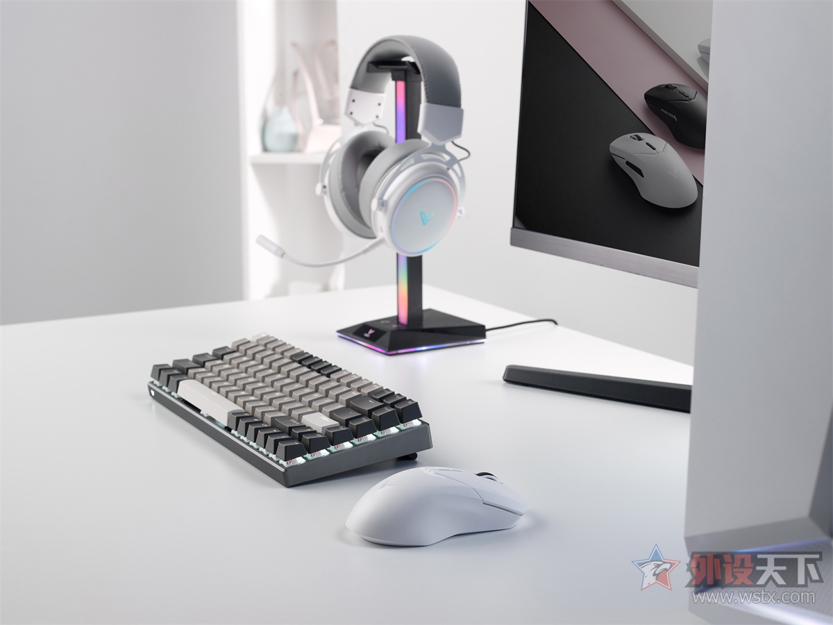 雷柏vt9pro跟雷柏v300pro是一样的吗,雷柏VT9pro双模无线游戏鼠标