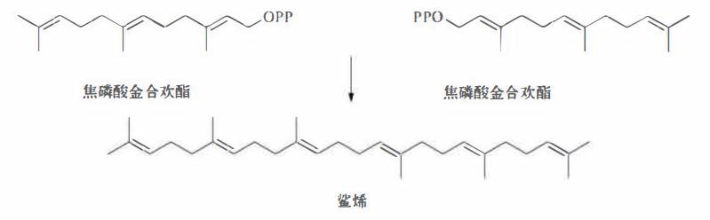 哪些植物含有三萜成分最多,萜烯类物质对植物的功效