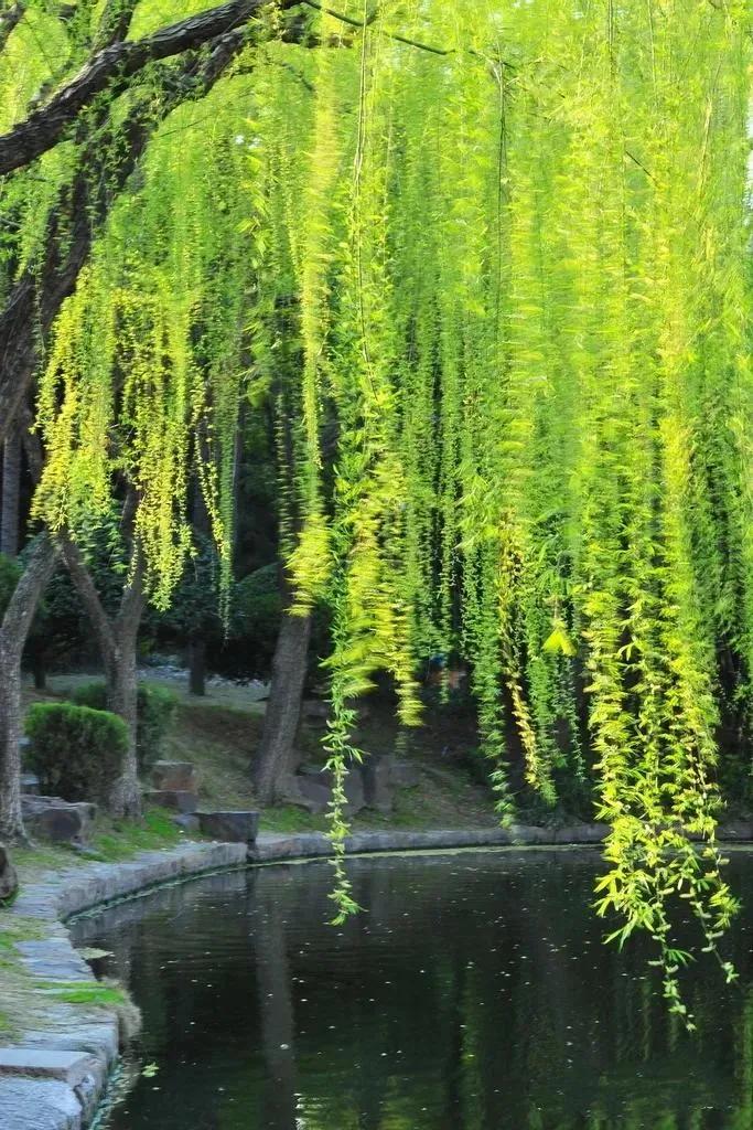 七绝春日二首原创,春日七绝诗十首