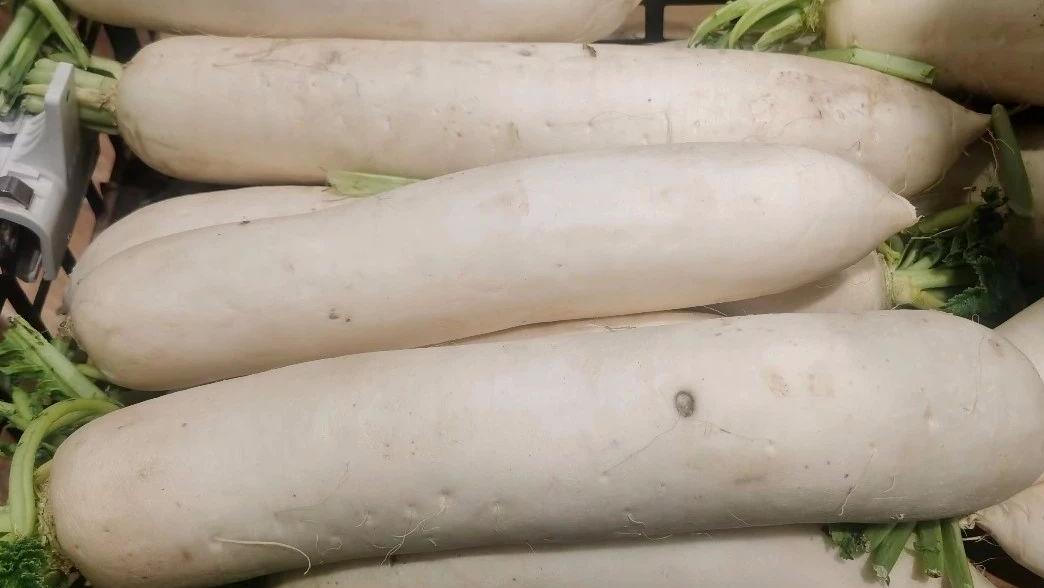 和紫甘蓝一样的蔬菜,常吃紫甘蓝蔬菜有什么好处