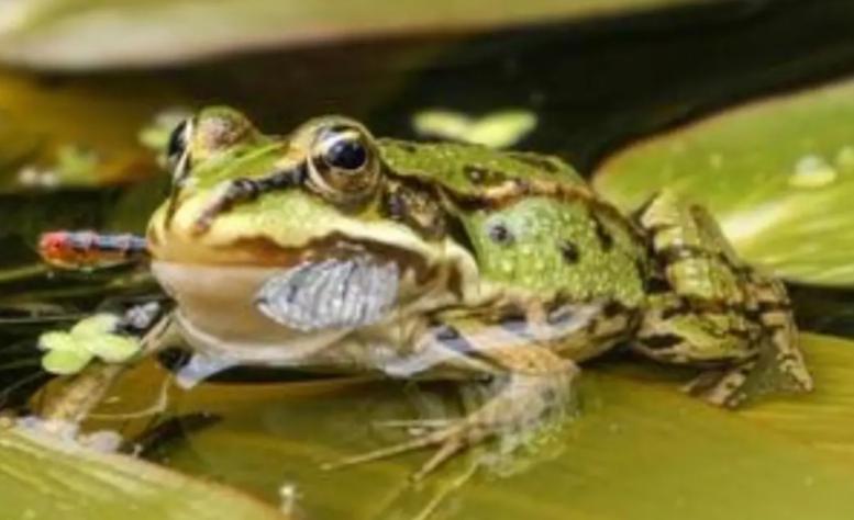 四川18岁女孩创业,18岁女孩3万起步创业