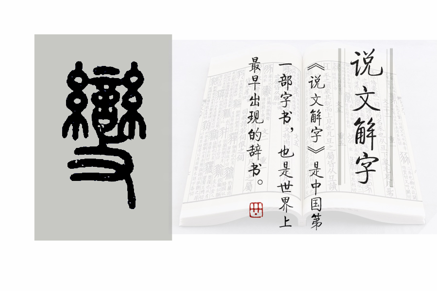 说文解字第598课,说文解字第58课