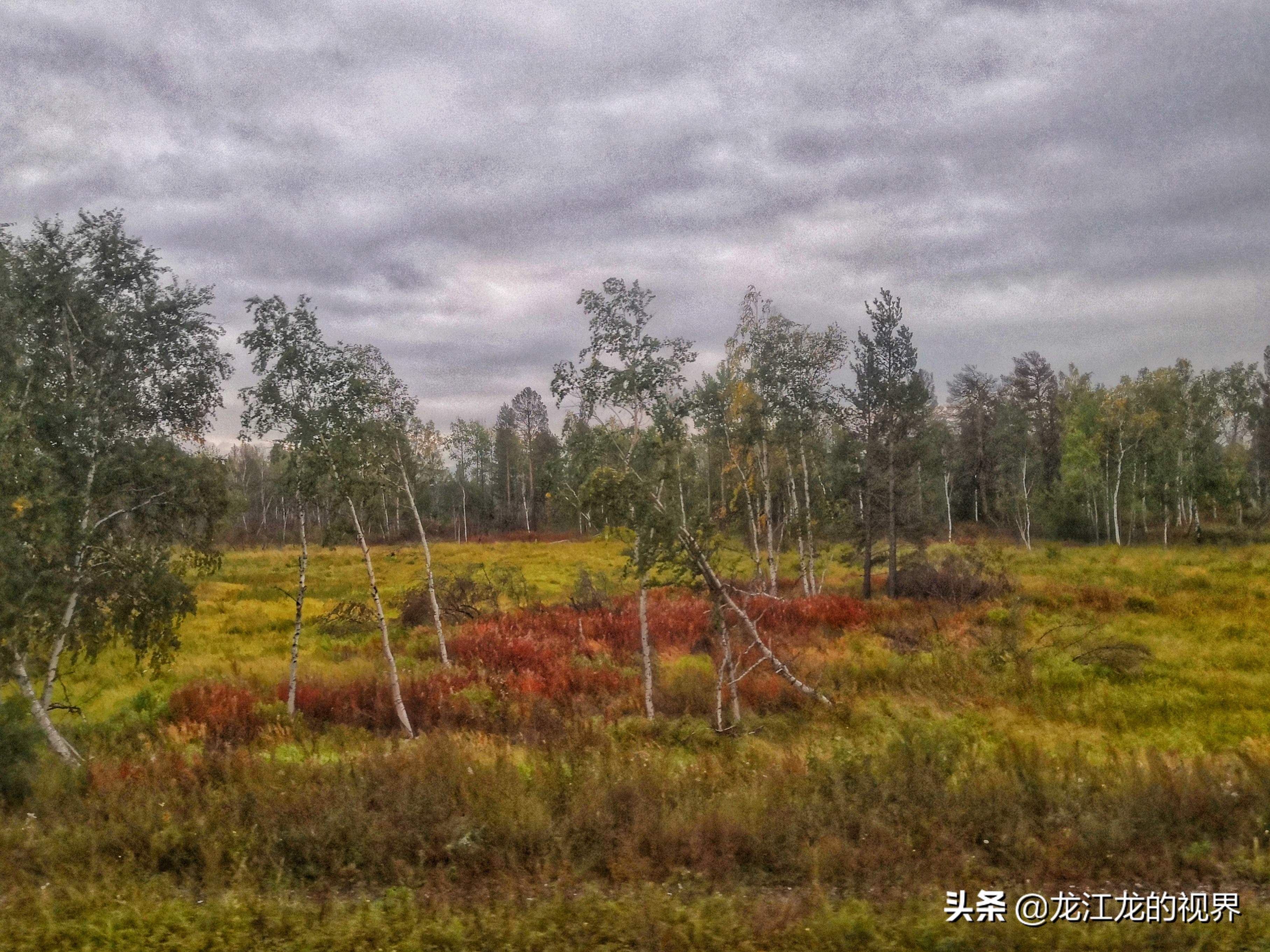 龙行天下北京游,龙行天下之北京