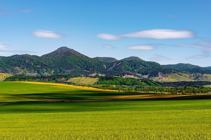 零成本赚钱的行业有哪些工作好做,有没有不用去上班就能赚钱的行业