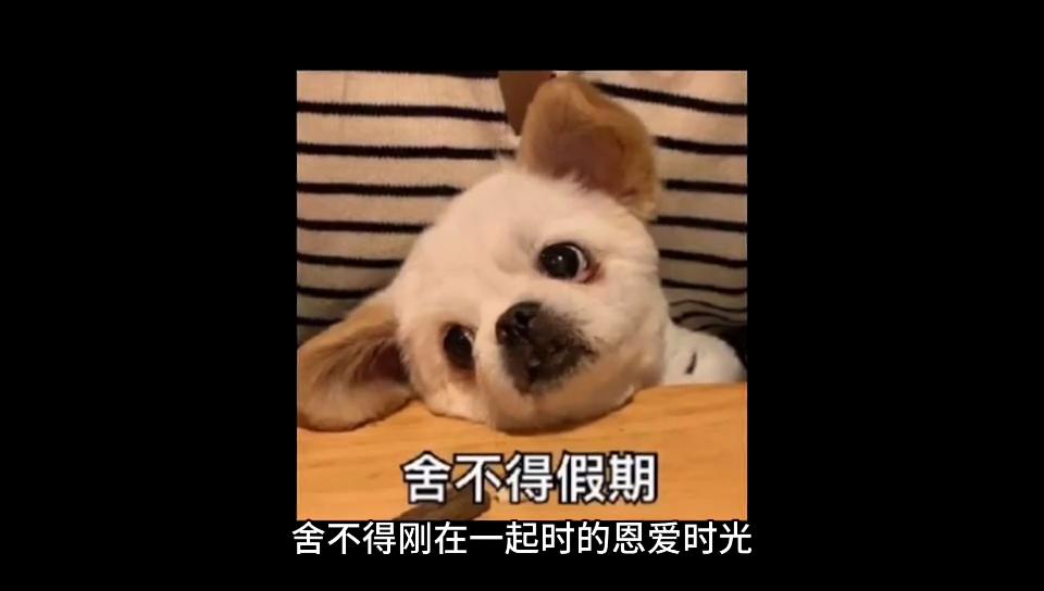 已订婚怀孕了男朋友要退婚,怀孕了男方要求退婚