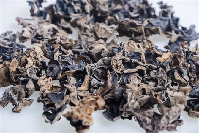 干木耳保质期内发霉能吃吗,干木耳过了保质期能吃么