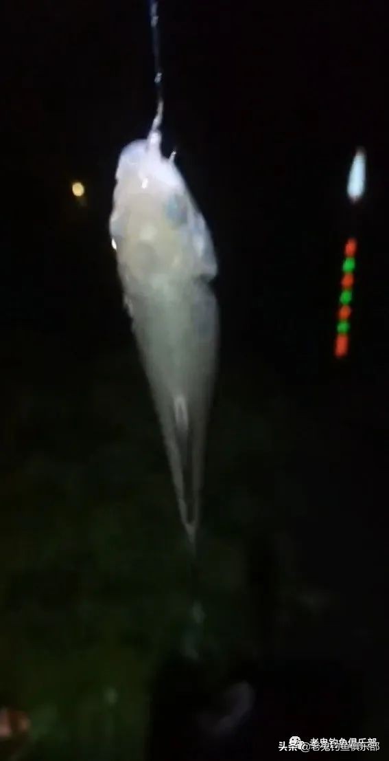 老鬼“老三样”夜擒大物，心想事成