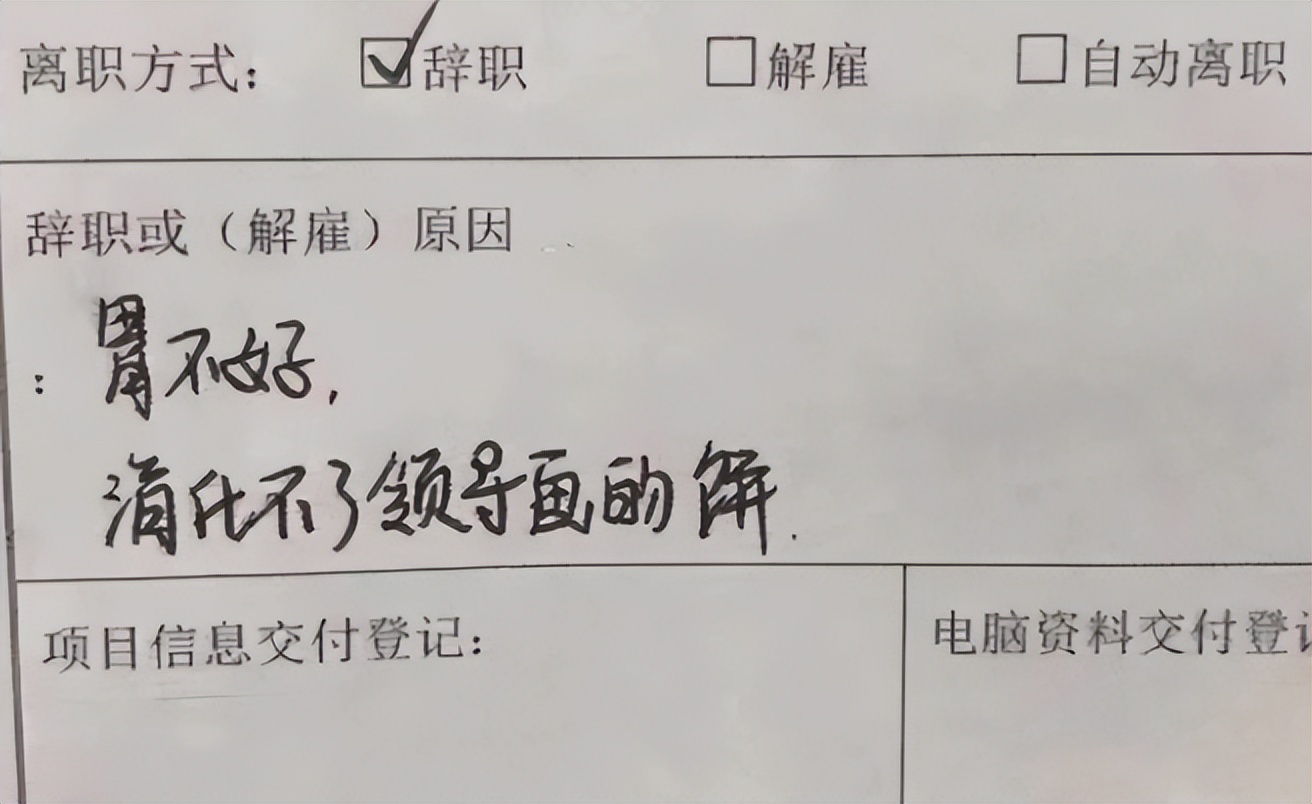 女教师因一封信辞职信意外走红,年轻女教师低情商辞职信走红