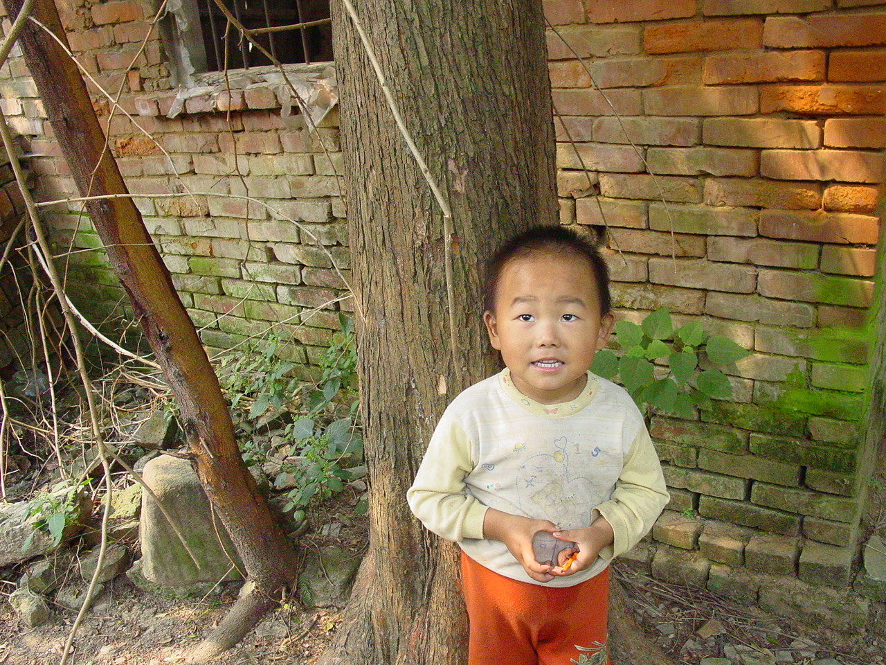 一个厚脸皮不要脸的人,一个自卑的学生