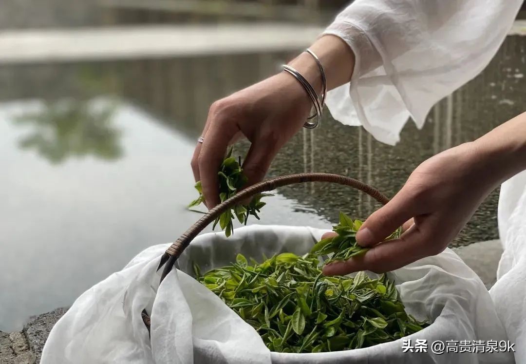 鐭湡鏃呮父鏀荤暐閰掑簵鎺ㄨ崘,涔愬北灏忎紬韪忔槬鎵撳崱鍦扮偣鎺ㄨ崘