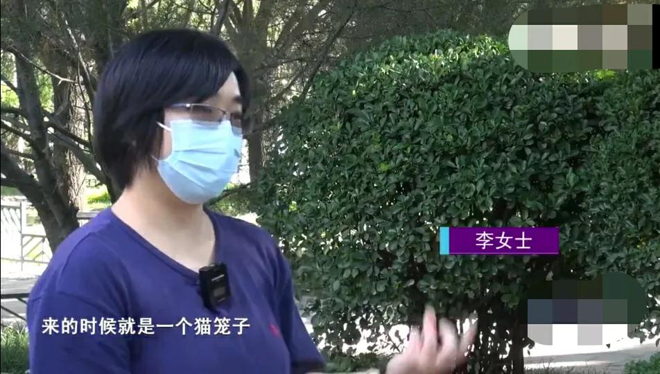 女子花十万元网购,女子花2300元买猫咪