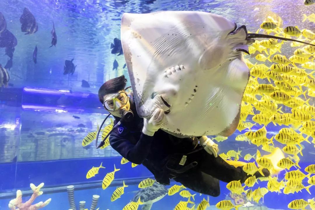 60s视频、88张图、3600字！我们为天津做了份2021年终总结