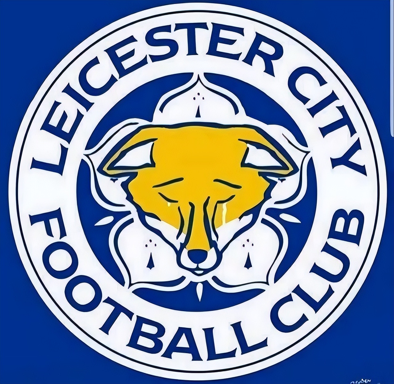 莱斯特城球员评价维猜,莱斯特城谈维猜