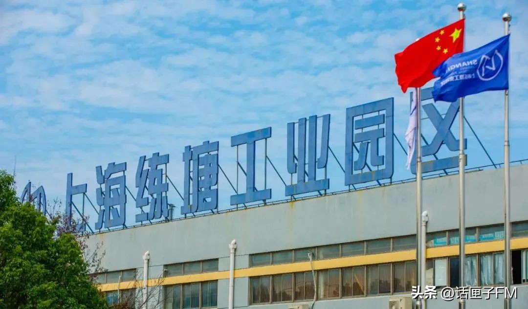 练塘茭白有哪些品种好吃,练塘新鲜茭白