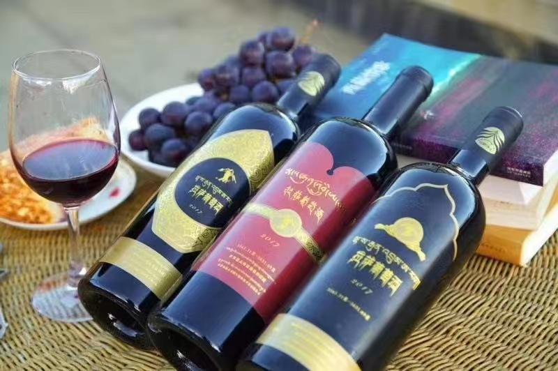 小葡萄串起乡村振兴大梦想,桑日县葡萄