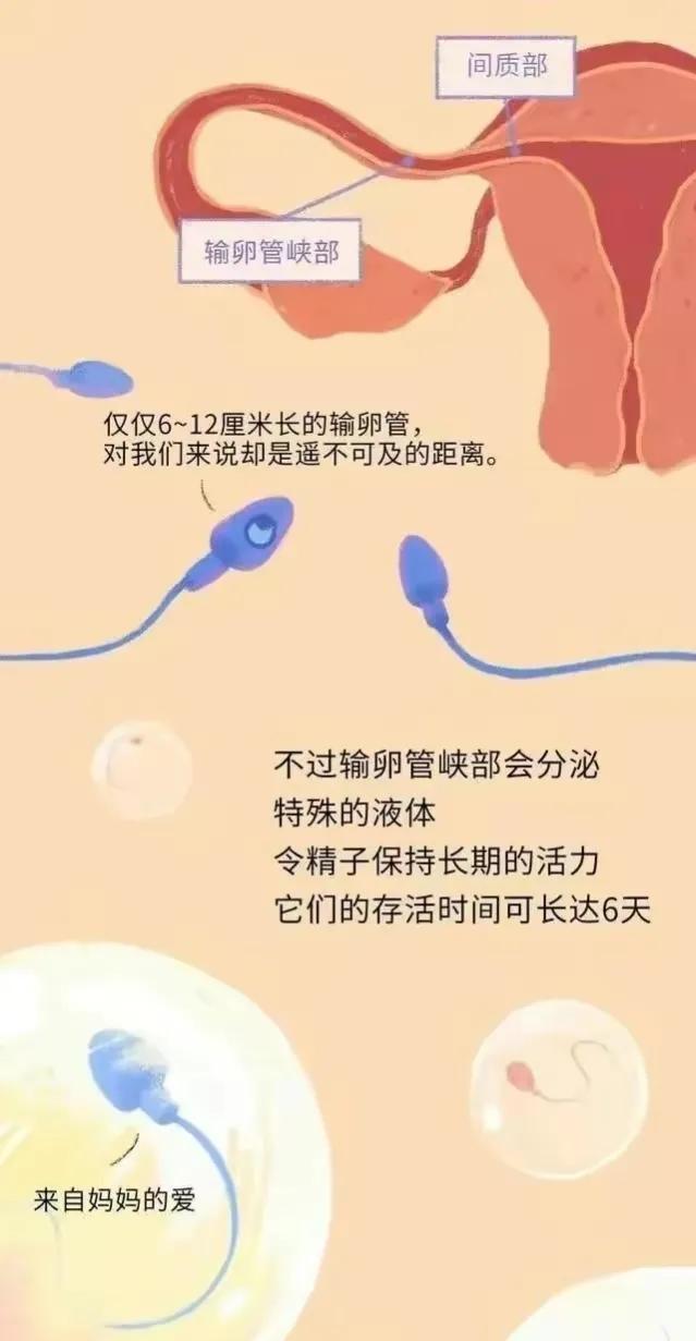 绮惧瓙杩涘叆浜轰綋24灏忔椂鍙樺寲,绮惧瓙杩涘叆浜轰綋1灏忔椂鍙樺寲