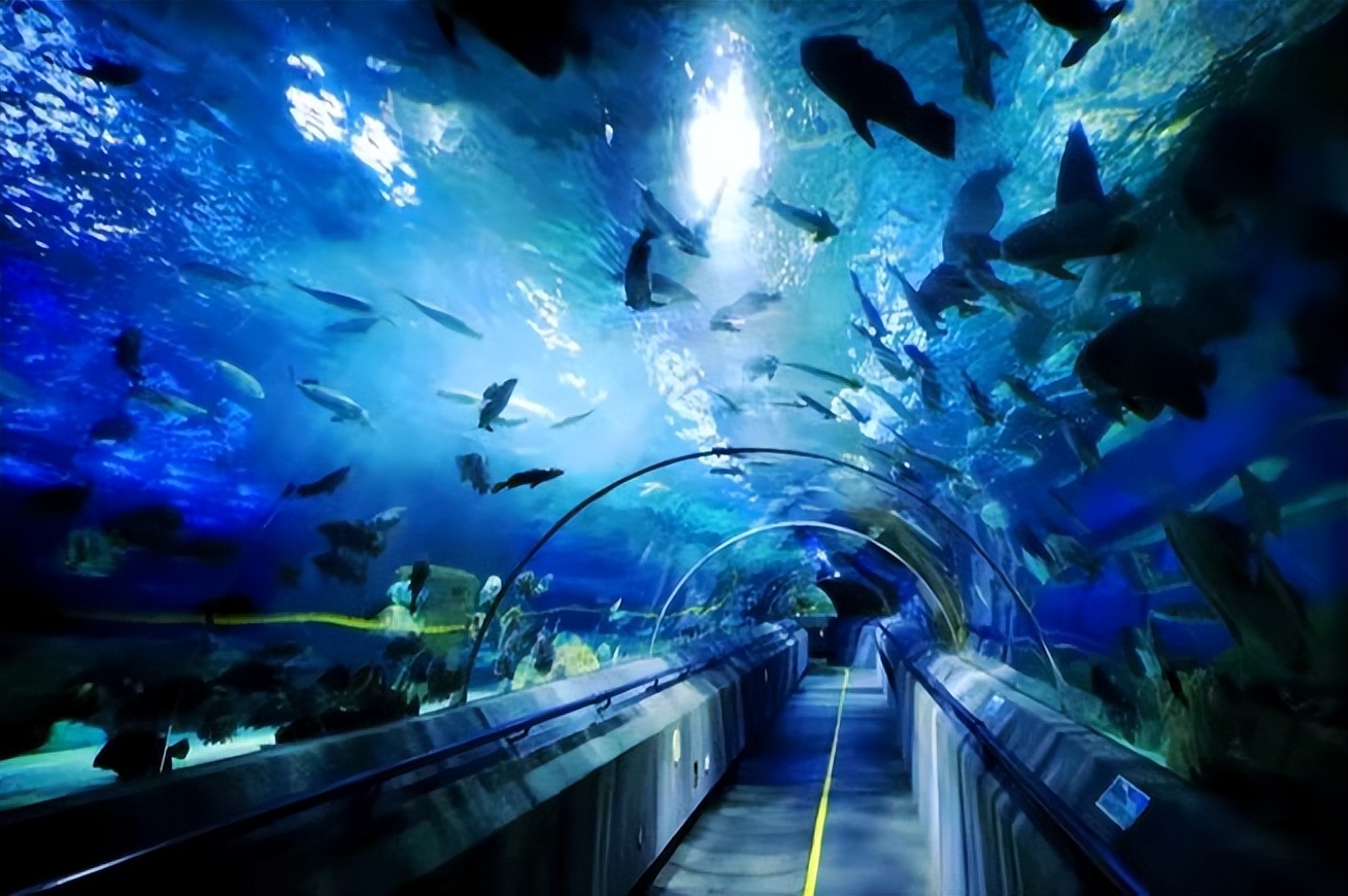 大连旅游攻略住宿推荐,大连旅游攻略三天游哪个岛好