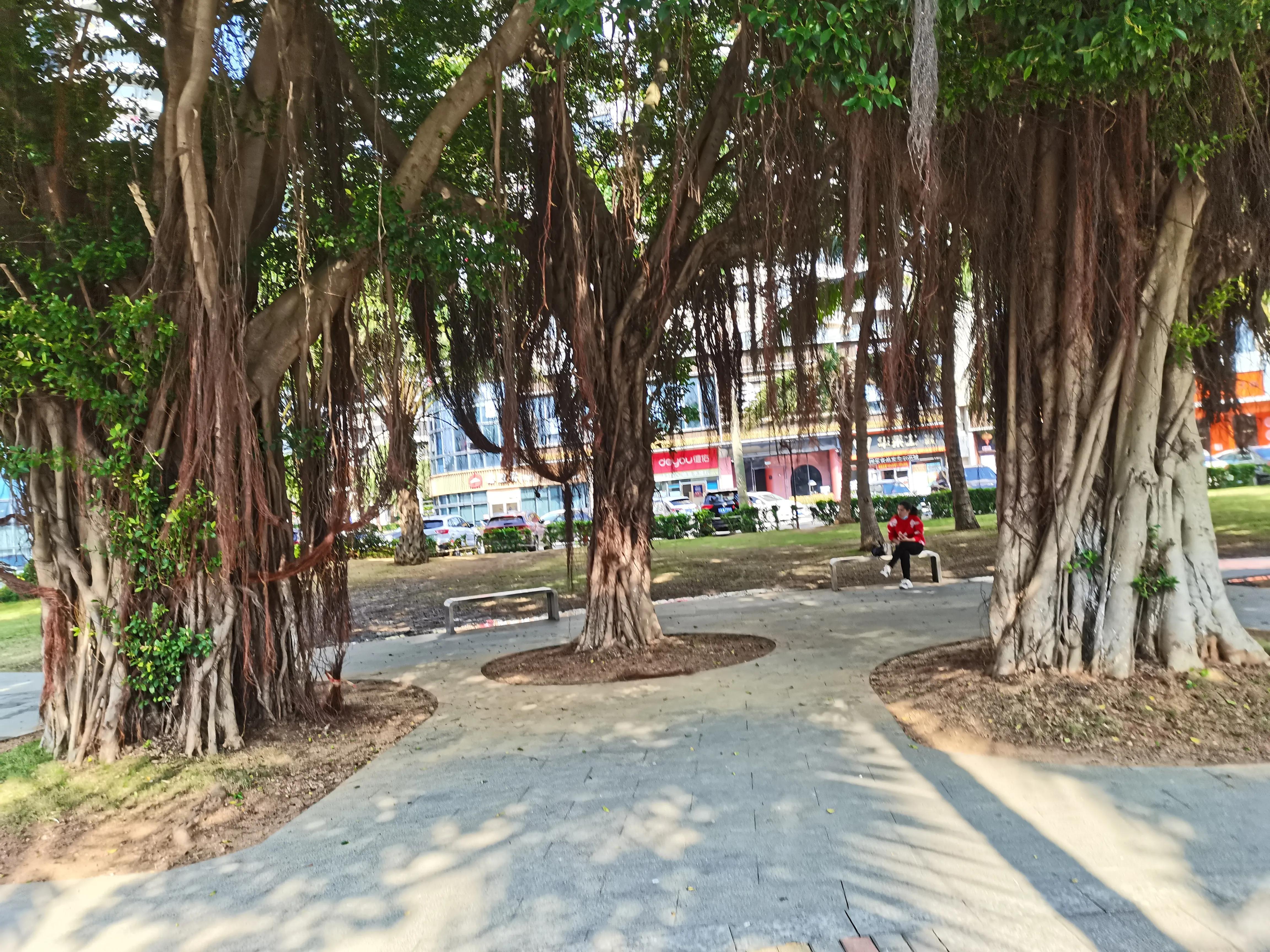 中国男足为什么参加不了世界杯,中国男足与亚洲强队