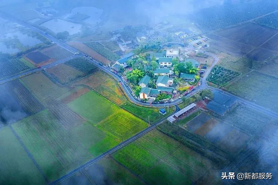 新都是镇还是区啊,什么是幸福的文案