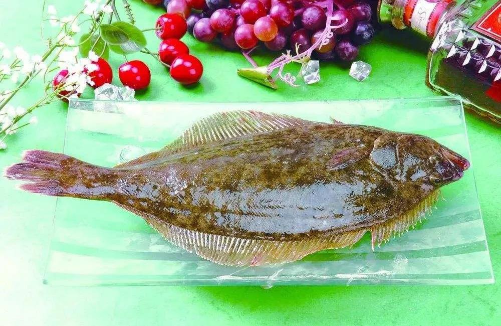 鱼类食材大全名称图片,鱼类菜谱大全100种